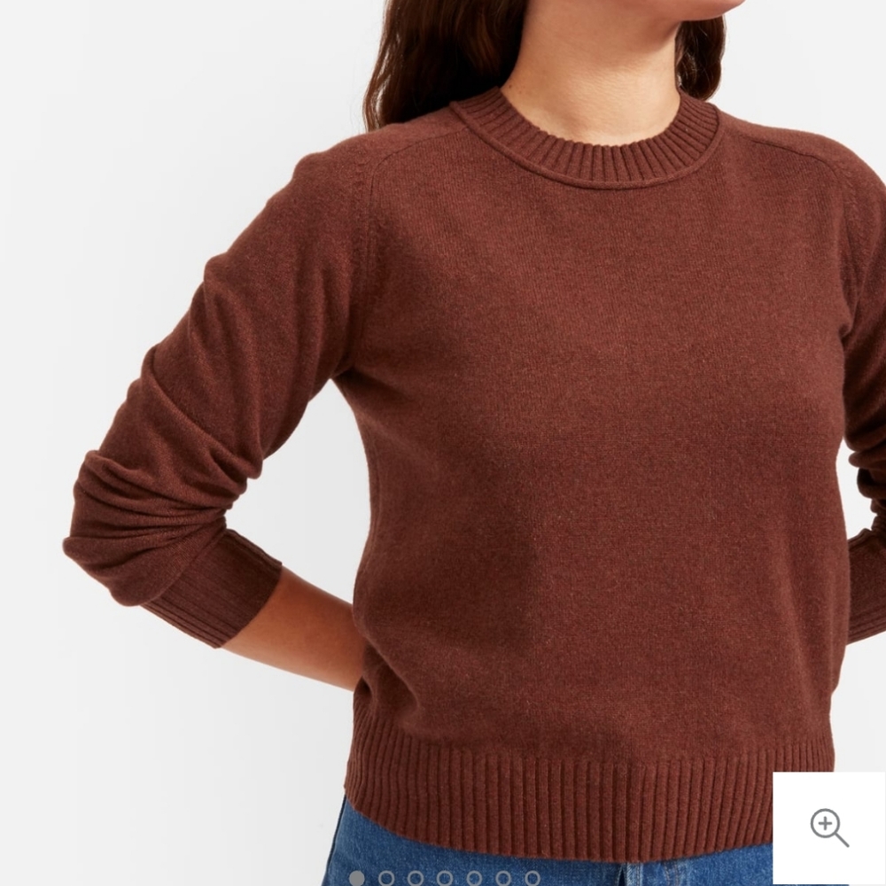 Everlane Recashmere Crew